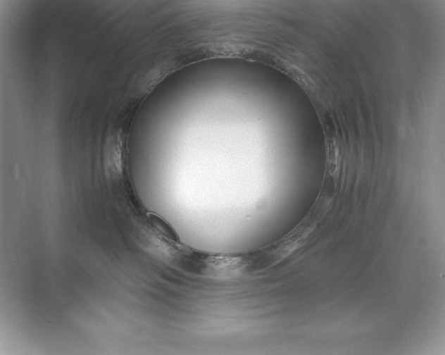 X0000071950334200607212233