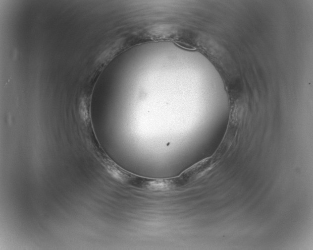 X0000071950335200607212233