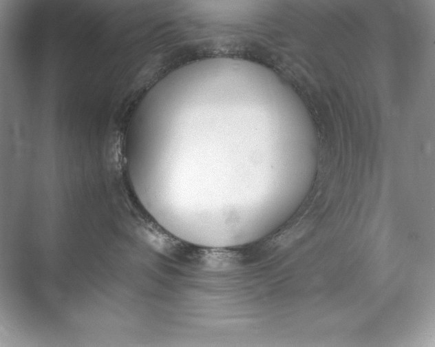 X0000071950336200607212233