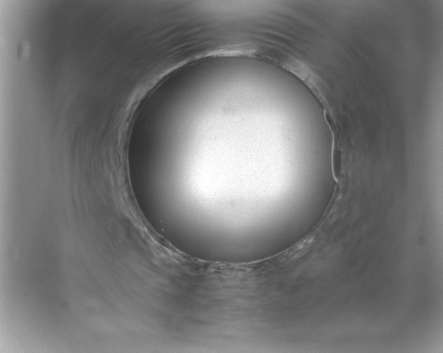 X0000071950337200607212232