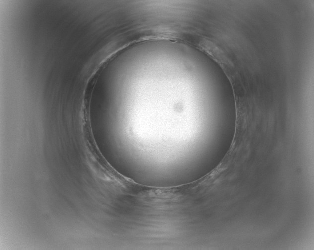 X0000071950338200607212232