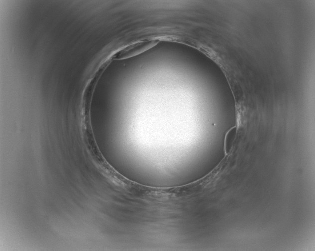 X0000071950339200607212232