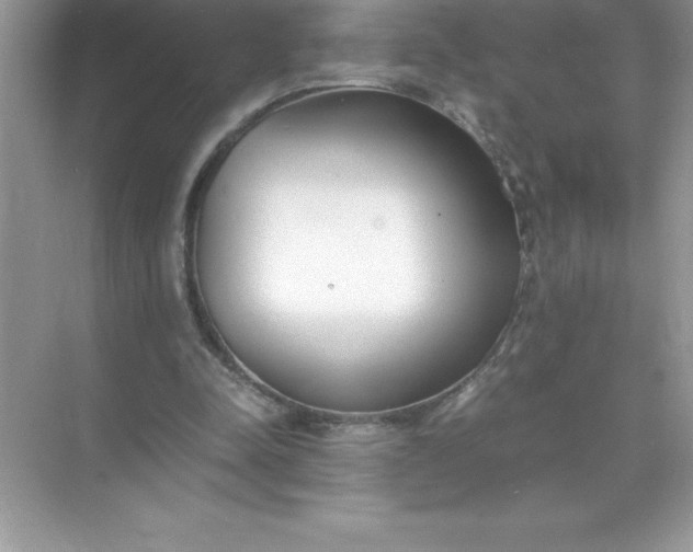 X0000071950342200607212232