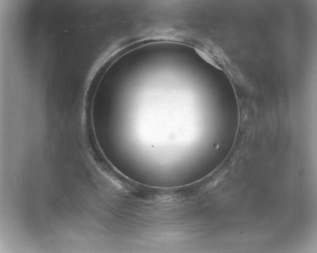 X0000071950344200607212232