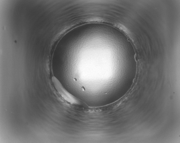 X0000071950345200607212232