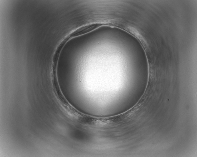 X0000071950346200607212232