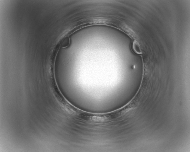 X0000071950347200607212232