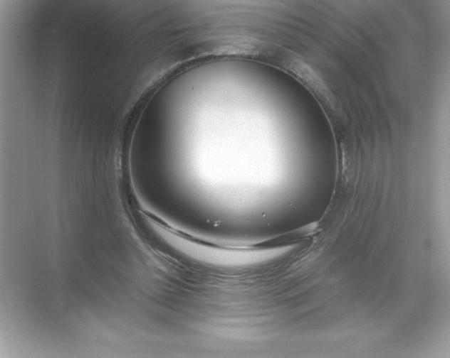 X0000071950348200607212232