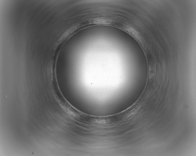 X0000071950349200607212232