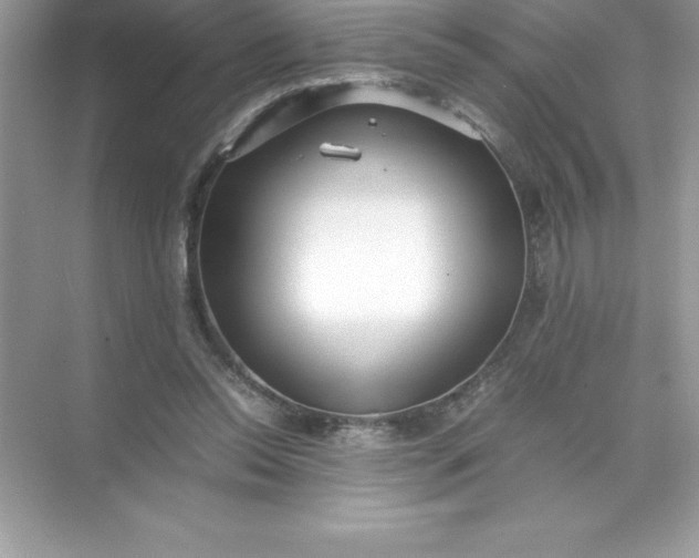 X0000071950350200607212232