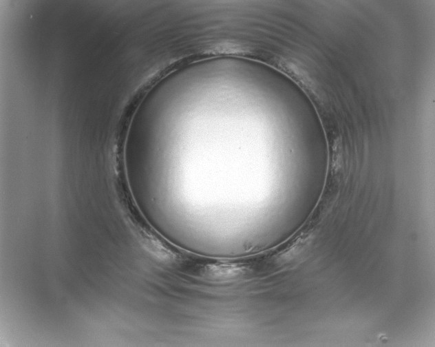 X0000071950351200607212232