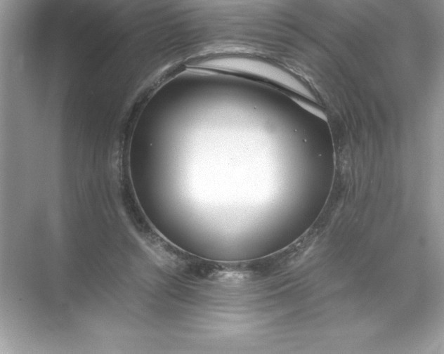 X0000071950352200607212232