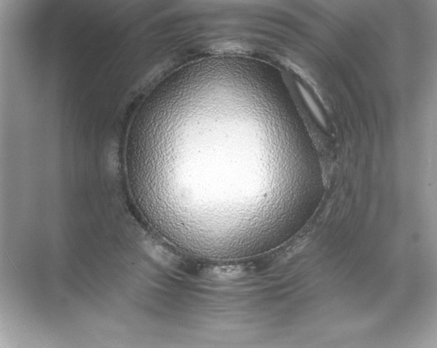 X0000071950353200607212232