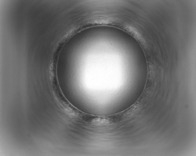 X0000071950354200607212232