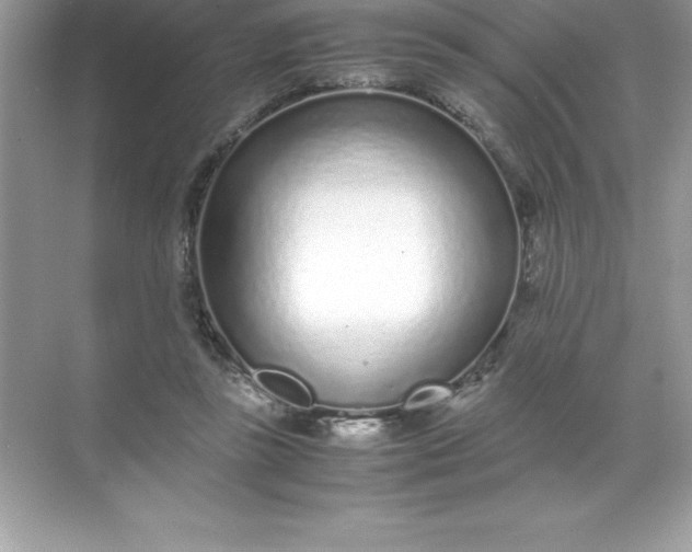 X0000071950355200607212232