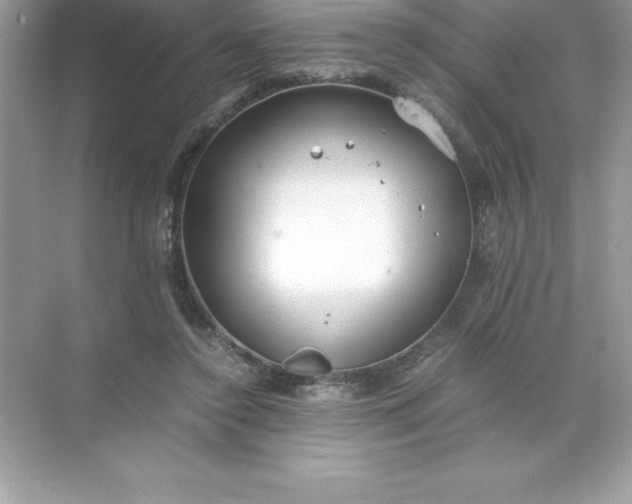 X0000071950356200607212232