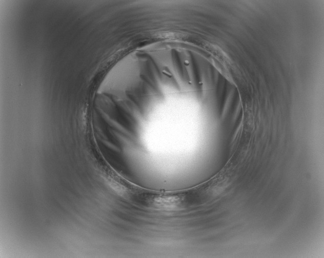 X0000071950357200607212232