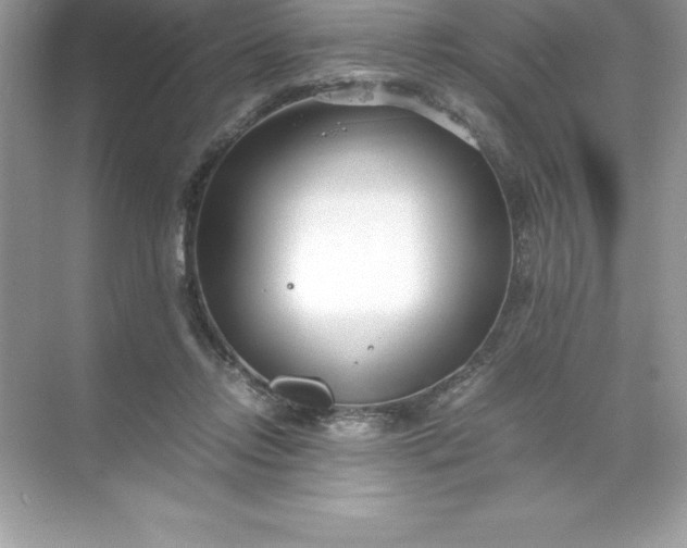 X0000071950358200607212232