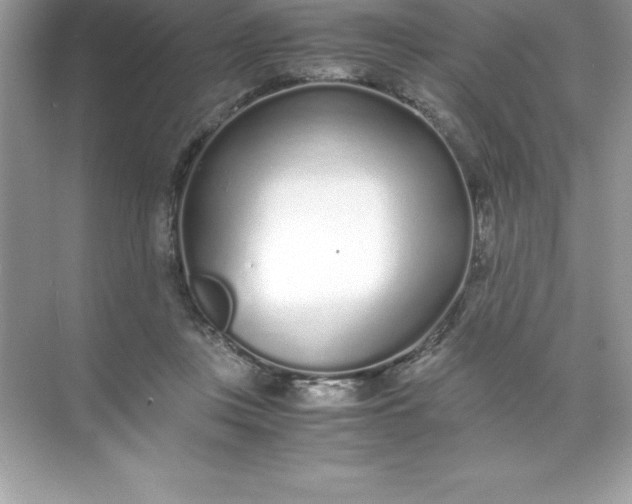 X0000071950359200607212232