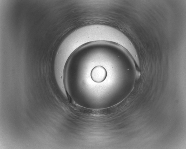 X0000071950360200607212232