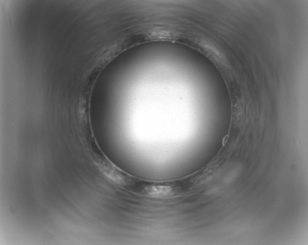 X0000071950361200607212232