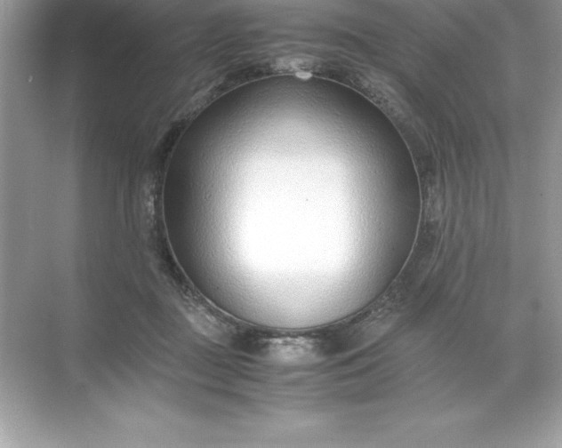 X0000071950363200607212232