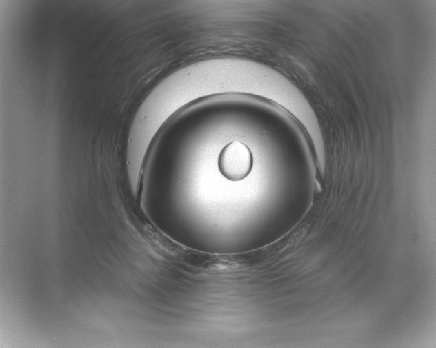 X0000071950364200607212232