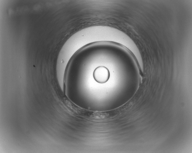 X0000071950368200607212232