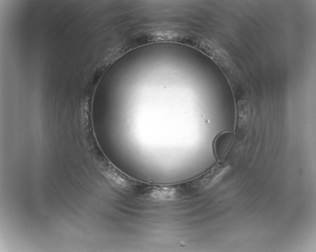 X0000071950369200607212232