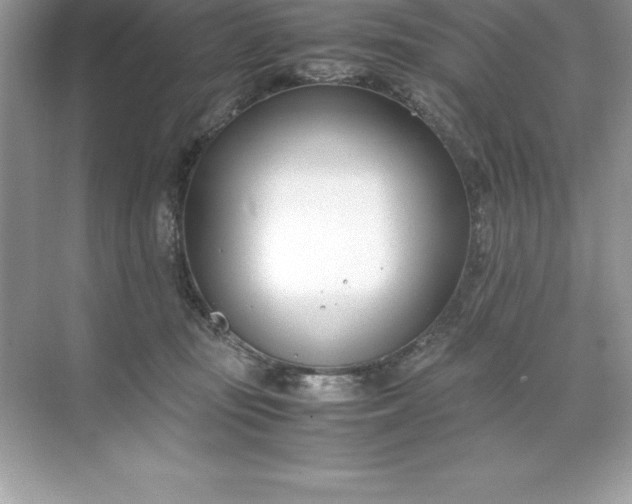 X0000071950371200607212233