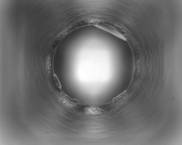 X0000071950372200607212233