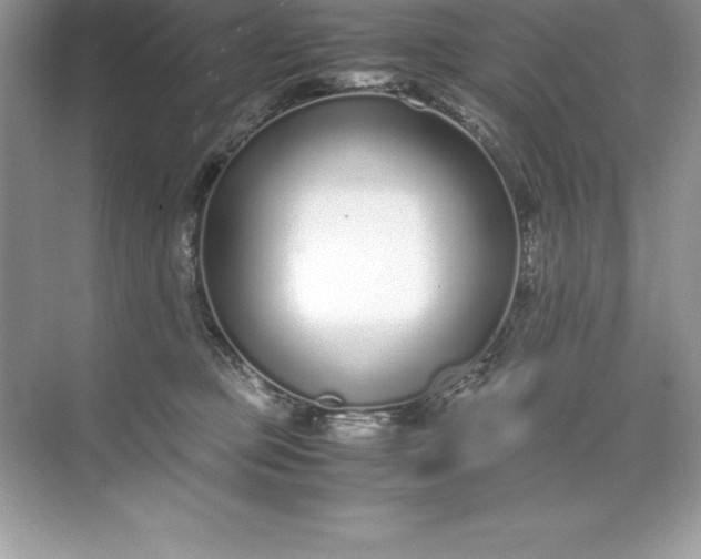 X0000071950373200607212233