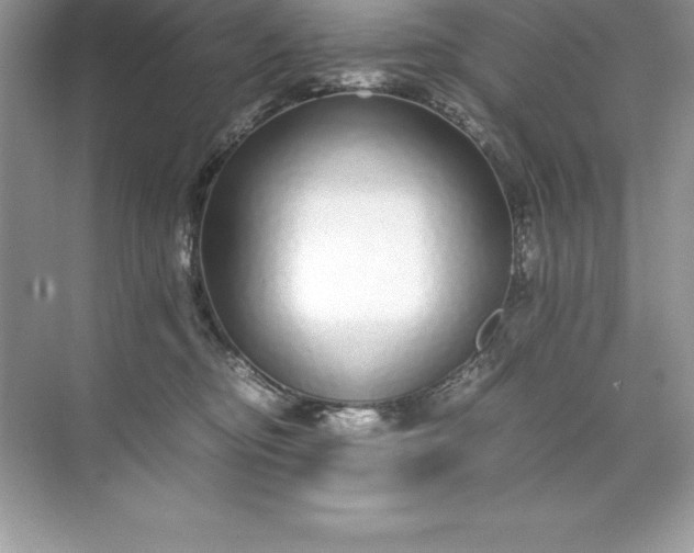 X0000071950374200607212233