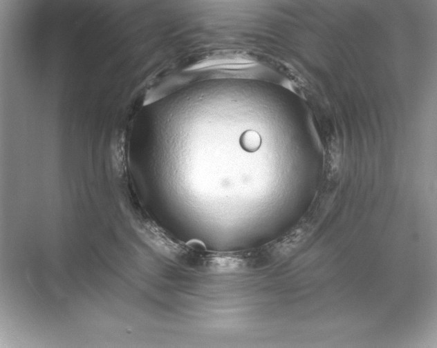 X0000071950376200607212233