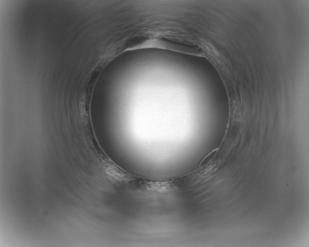 X0000071950377200607212233