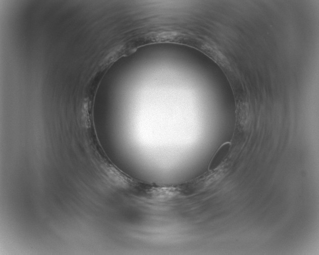 X0000071950378200607212233