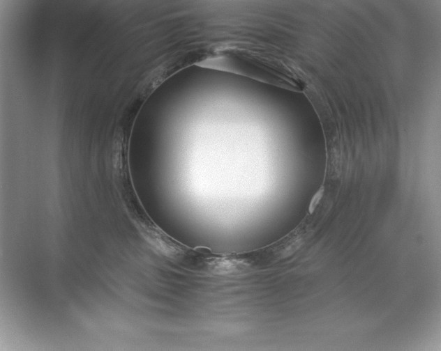 X0000071950379200607212233