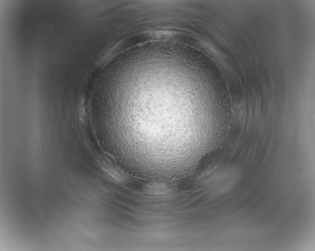 X0000071950381200607212233