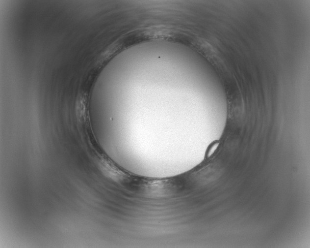 X0000071950382200607212233