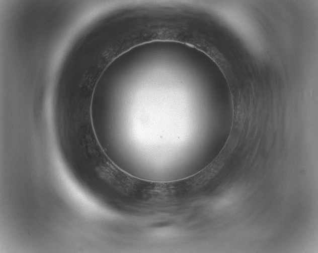 X0000071950383200607212233