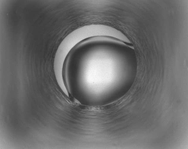 X0000071950384200607212233