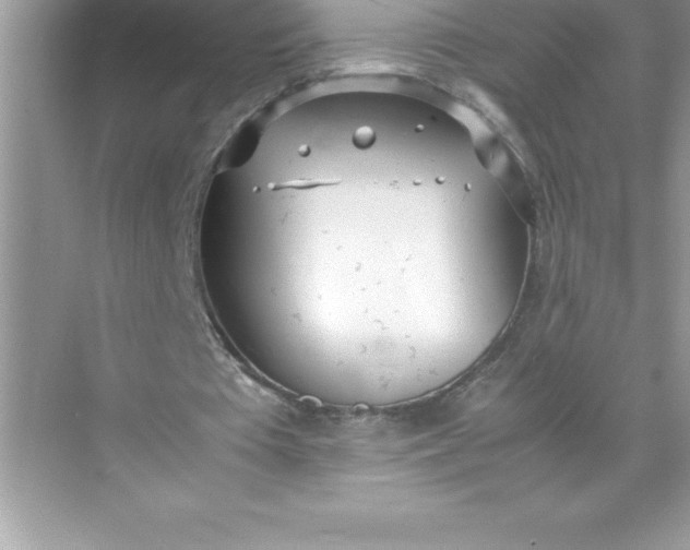 X0000071950385200607212232