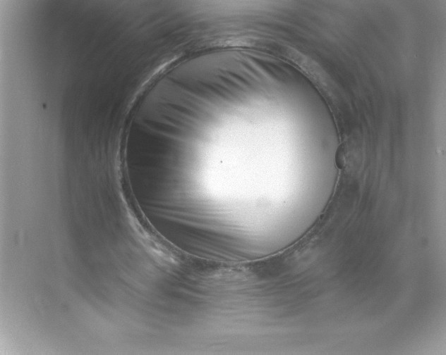 X0000071950386200607212232