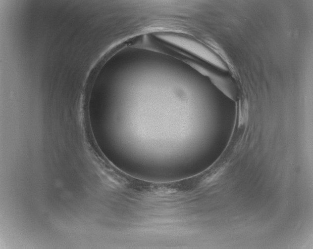 X0000071950387200607212232