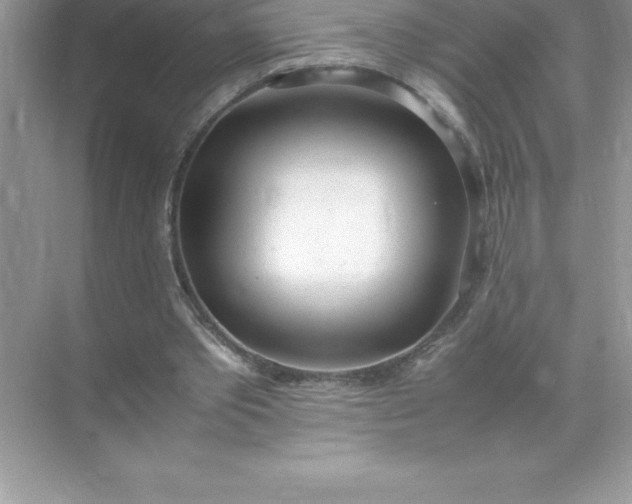 X0000071950389200607212232