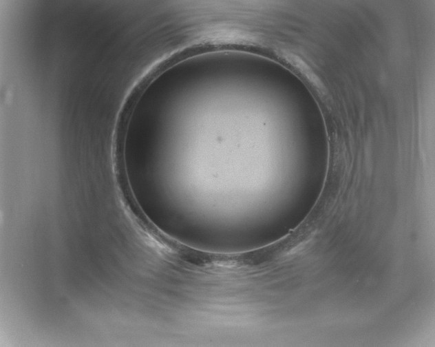 X0000071950391200607212232