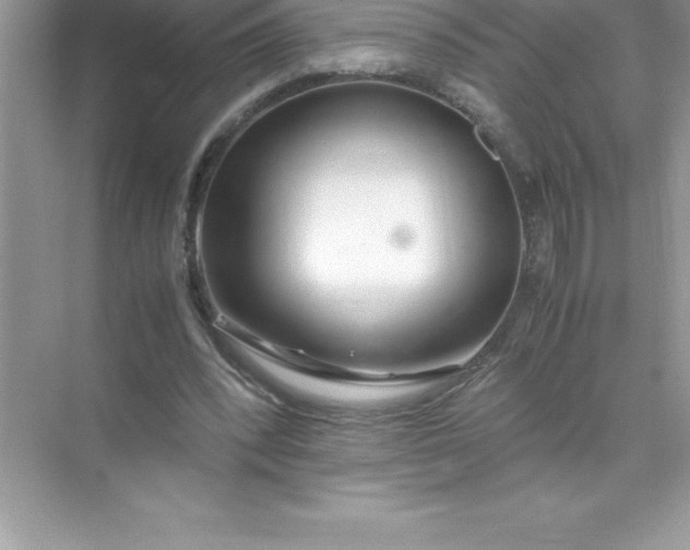 X0000071950392200607212232