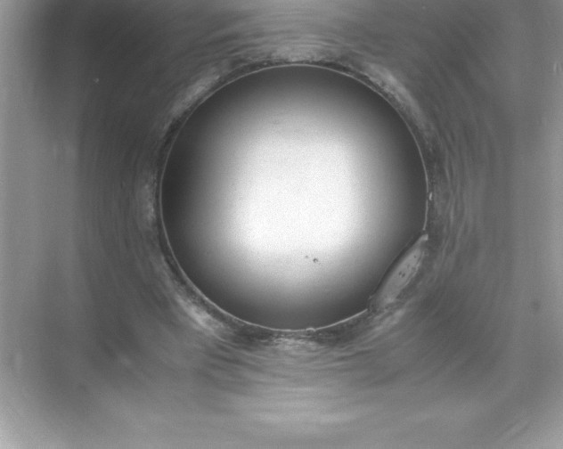 X0000071950393200607212232