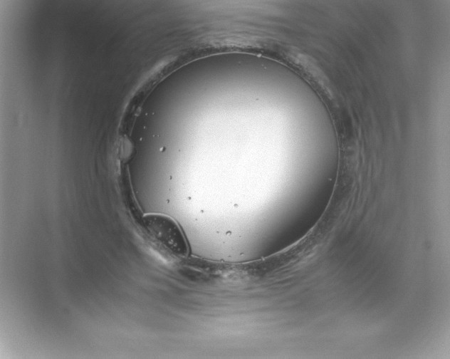 X0000071950395200607212232