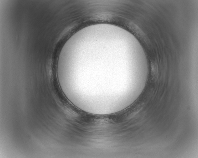 X0000071950396200607212232